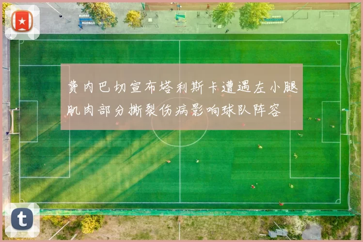 费内巴切宣布塔利斯卡遭遇左小腿肌肉部分撕裂伤病影响球队阵容